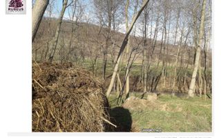 Oportunitate rară! 1 ha pădure Corcova – teren cu potențial real - Poză 4