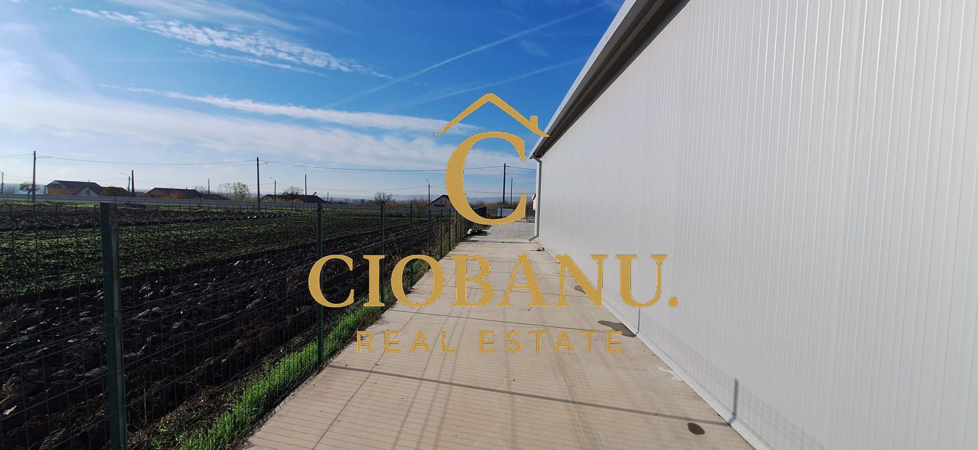 Hala de vanzare in Racarii de Jos - Poză 14