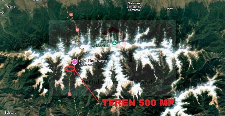 TEREN EXTRAVILAN PADURE PISCUL NEGRU ARGES - Poză 8