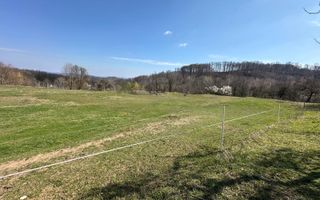 Teren Govora / 8131mp - Poză 6