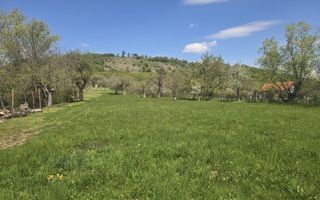 Teren 5400 mp superb cu livada si vedere spre munti Orlat - Poză 4