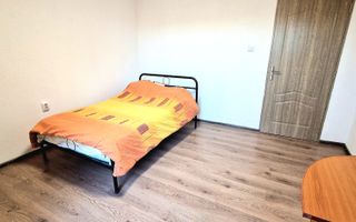 Apartament 2 camere de inchiriat curte, foișor,grădină – zona Shopping City - Poză 8