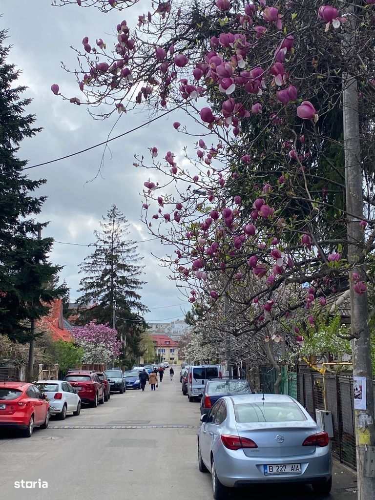 Apartament in vila Rond Alba Iulia/Baba Novac - Poză 1