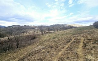 Teren intravilan de vanzare, Geogiu de Sus - Poză 5