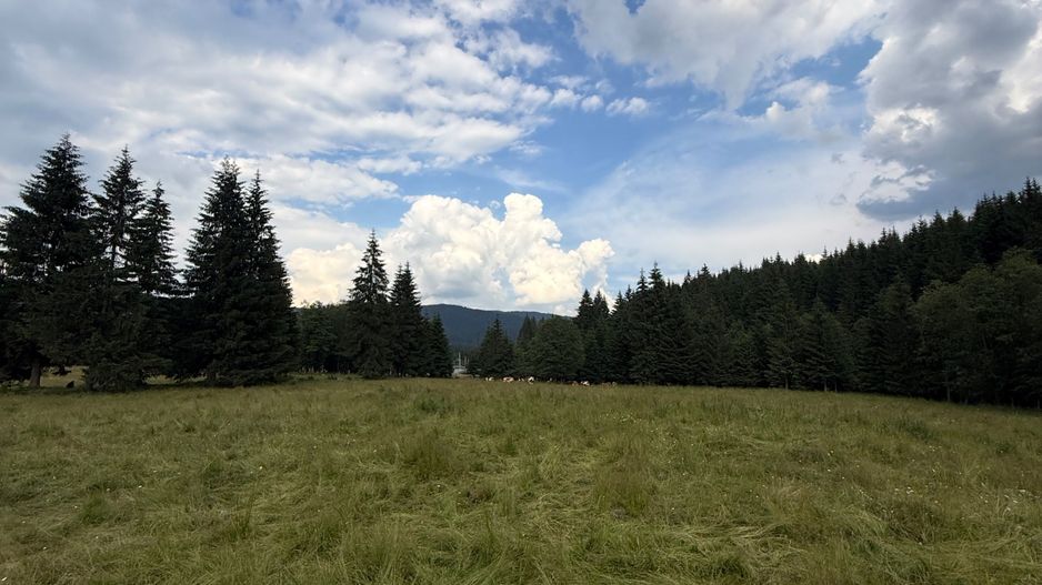 PARCELE DE VÂNZARE, pe malul râului BÂSCA, COMANDAU, COVASNA - Poză 13
