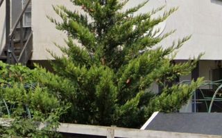 Vilă modernă cu 4 camere, lângă pădure, în Tunari - Poză 5