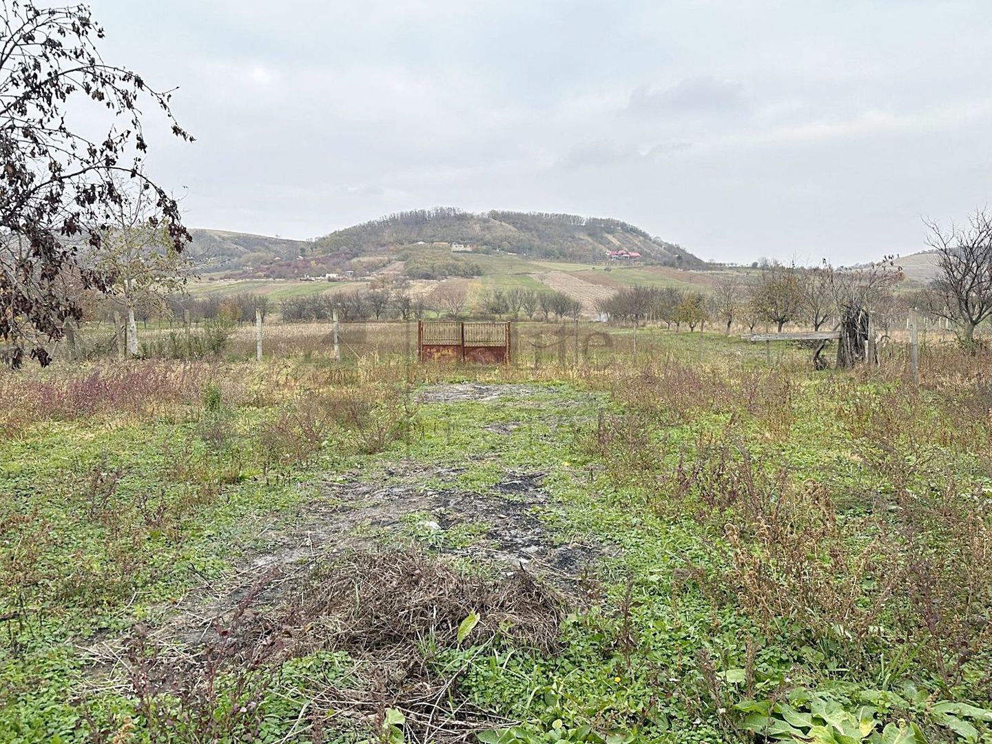 Casa cu 3 Hale si teren 8000 mp in Ulileacu de Cris, Bihor - Poză 12