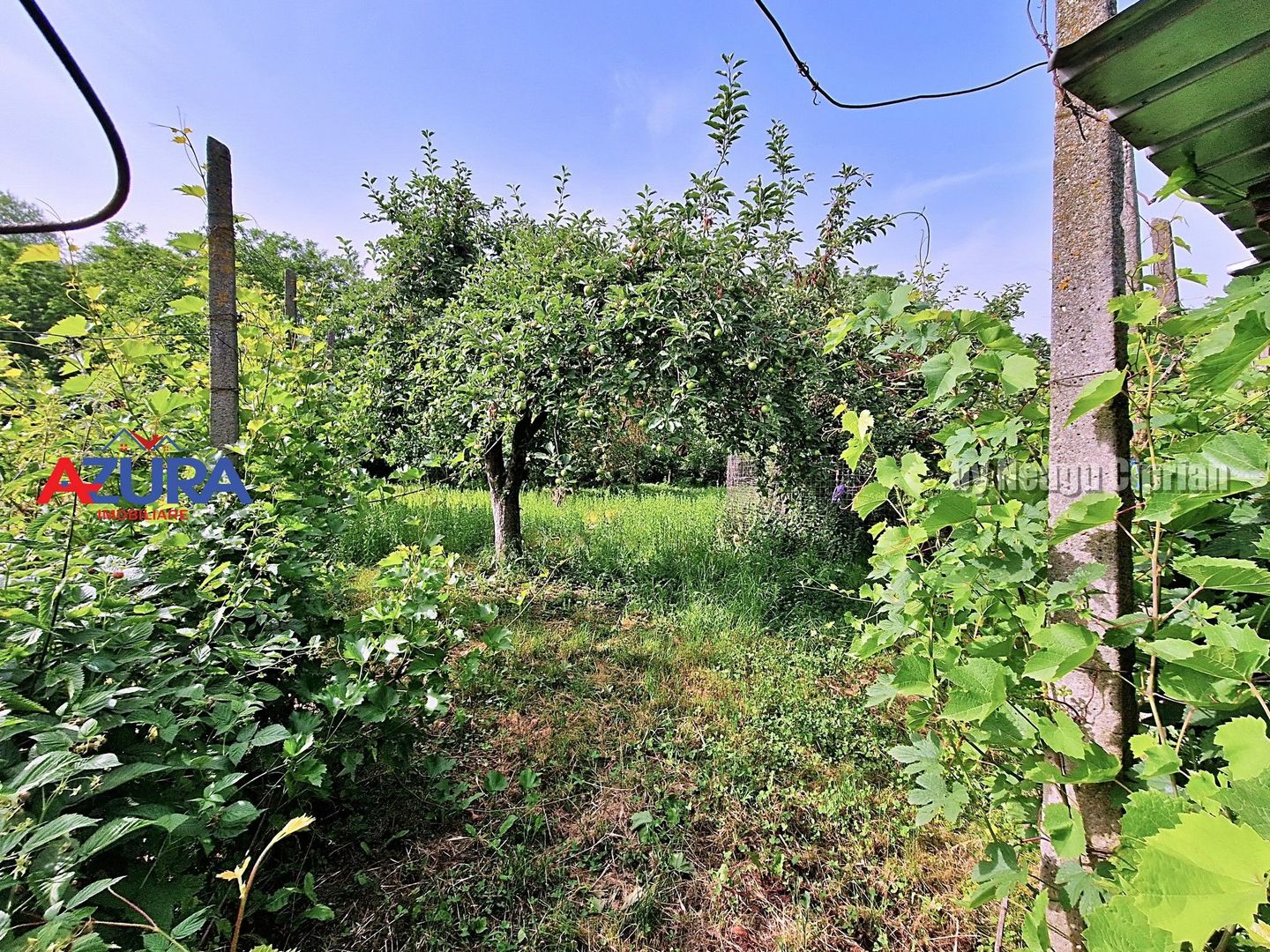 AZURA Imobiliare - Casa Merisani zona Primarie, Panouri fotovoltaice - Poză 26