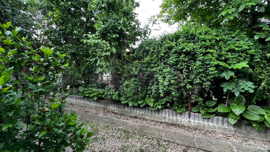 Casa de vanzare in Gilau, teren de 840 mp, zona buna - Poză 8