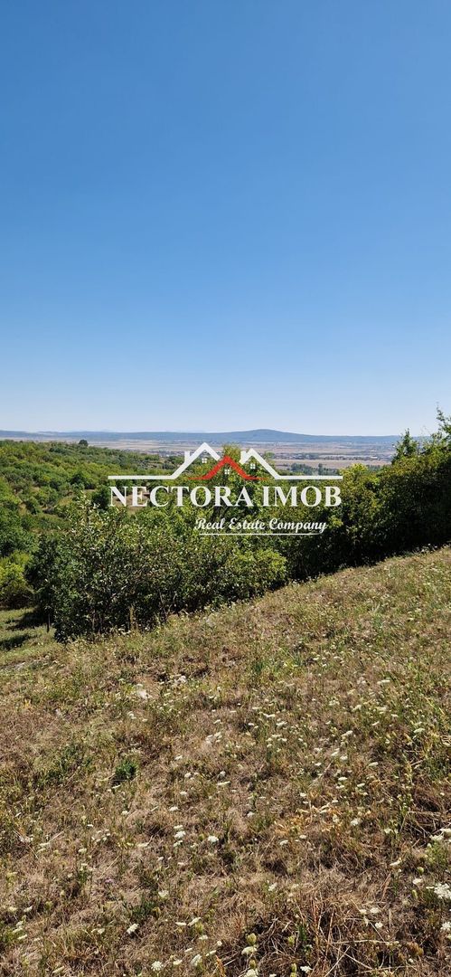 NECTORA IMOB-Teren Zona Podgoria,3400 mp (Intravilan + Extravilan) - Poză 1