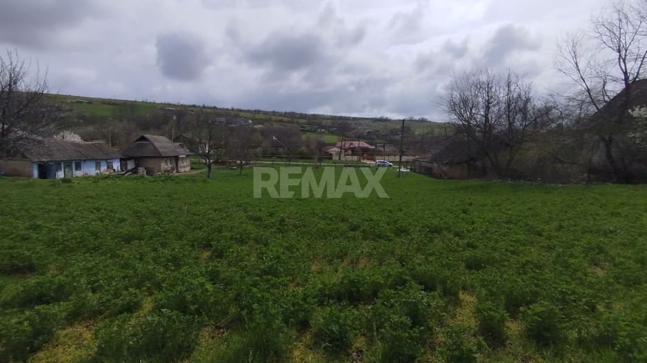 Teren pentru construcții/prima linie – 17,5 ari, Botnăreștii Vechi, Raionul Anenii Noi - Poză 6