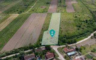 Teren extravilan Urseni, Timiş - Poză 5