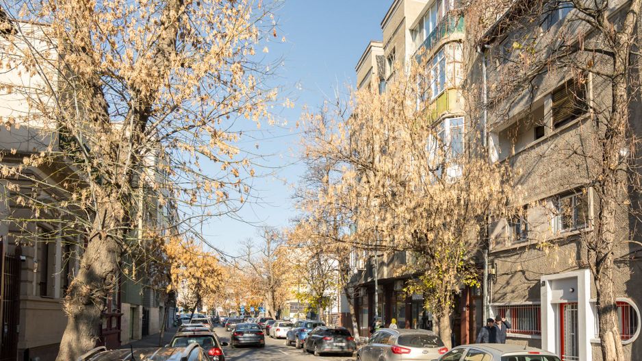 COMISION 0% - Vila interbelica, curte libera 362mp Cismigiu - Piata Victoriei - Poză 11