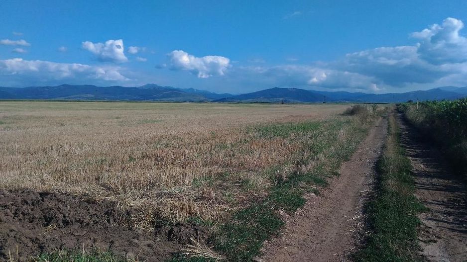 Teren extravilan Prejmer - Poză 2