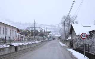 Teren de vanzare I izvor apă minerală  Dangești I 2 Hectare - Poză 19