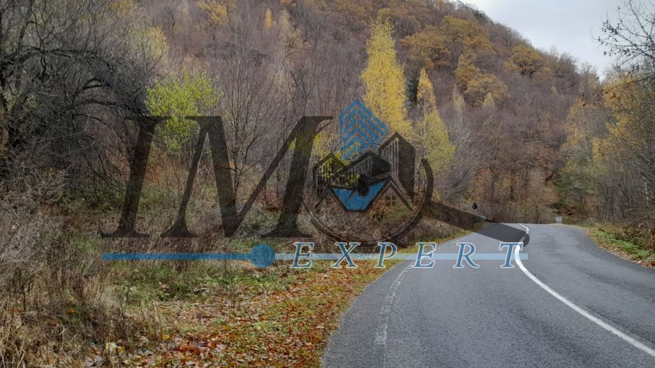 Teren extravilan direct la șoseaua TRANSALPINA - Poză 3