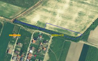 Teren parcelabil cu toate utilitatile 7.257 mp Moșnița Nouă – 20 €/mp - Poză 2