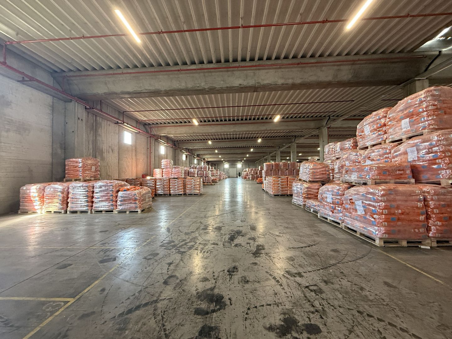 Hală industrială 5.000 mp de închiriat în Chitila, clasa A, H 7 m - Poză 9