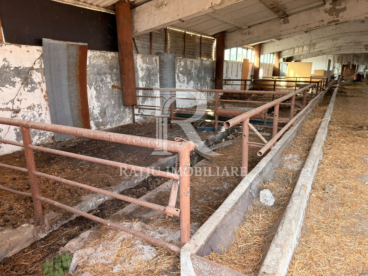 Fermă Sărand | Bihor | 25.659 mp teren intravilan - Poză 9