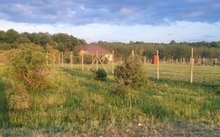 Teren intravilan in Gepiu - Poză 2