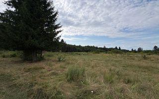 Teren intravilan de vanzare I 1990 mp I Valea Avrigului – lângă Cabana Aris - Poză 6