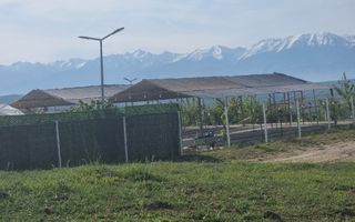 TEREN  EXTRAVILAN 2000 MP ÎN DAIA - BAVARIA | DEALUL 2 | DOAR 15€/MP - Poză 27