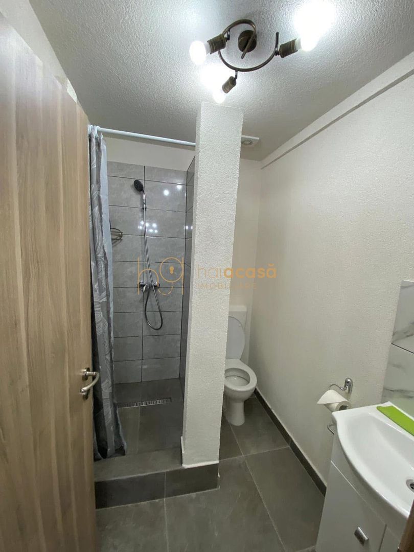 Afacere la cheie Casa de vacanta - Poză 10