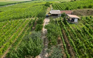Vie Tradițională „Halta Lupilor” - Poză 44