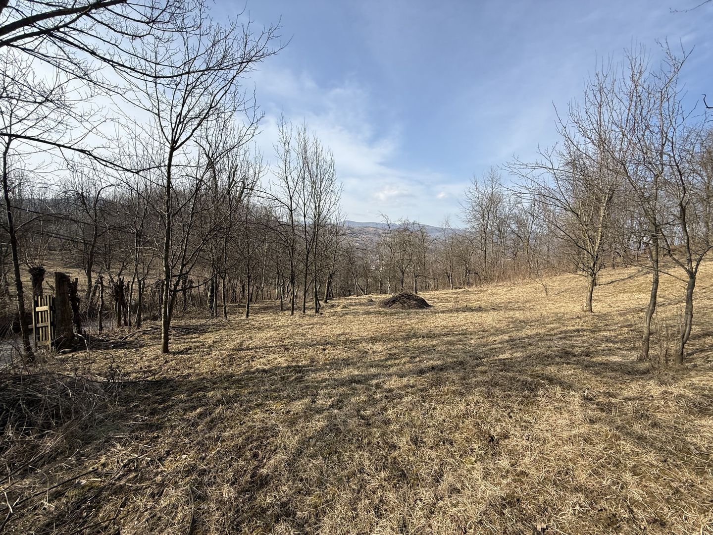 Teren intravilan 2788 mp deschidere 55 ml cu vedere panoramica ! - Poză 3