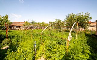 EXCLUSIVITATE – Comision 0% | Casa spatioasa | Santana - Arad - Poză 13