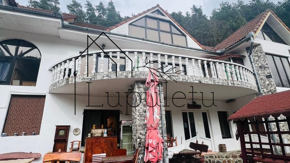 Pensiune de vânzare | 400 MPU | 10 Camere | Rasinari - Curmatura - Poză 42