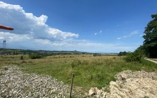 Teren de vanzare in  Tohanu Nou-Sohodol 6200 mp - Poză 4