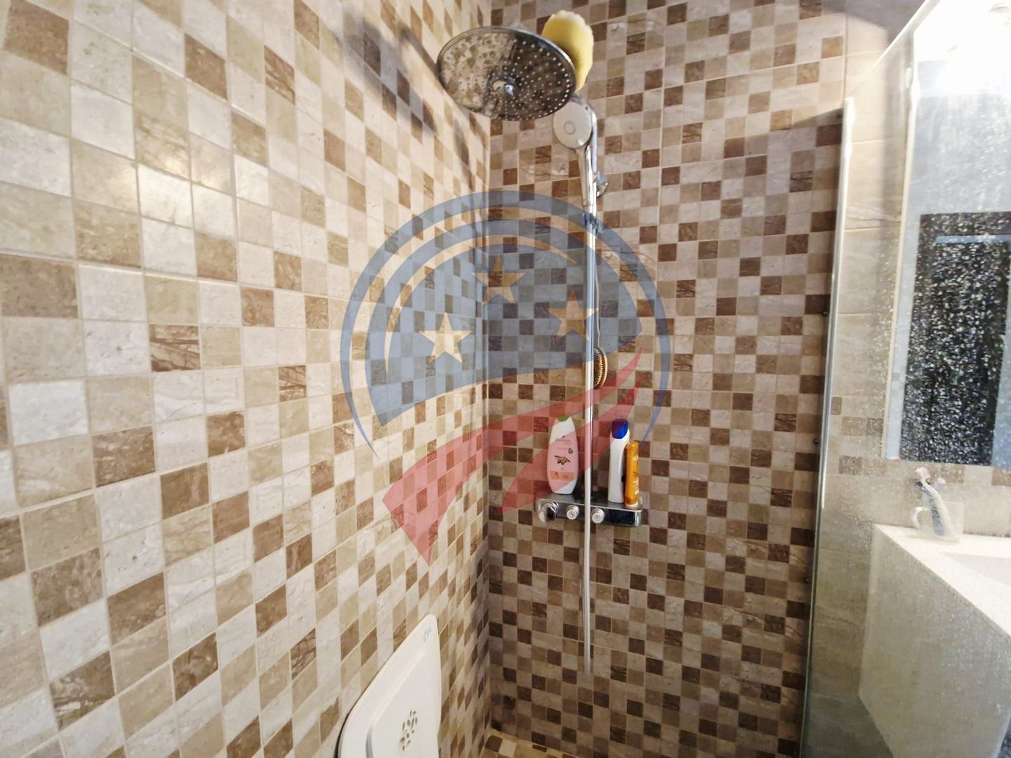 CASA P +E  5 camere -Cosoveni - Poză 12