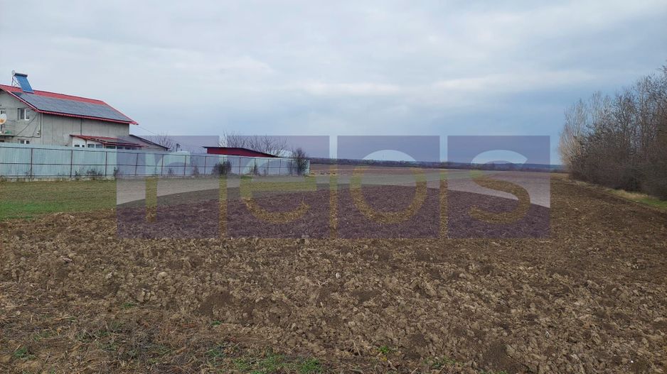 VANZARE TEREN | INTRAVILAN SI EXTRAVILAN | ZONA MOGOSANI - Poză 1