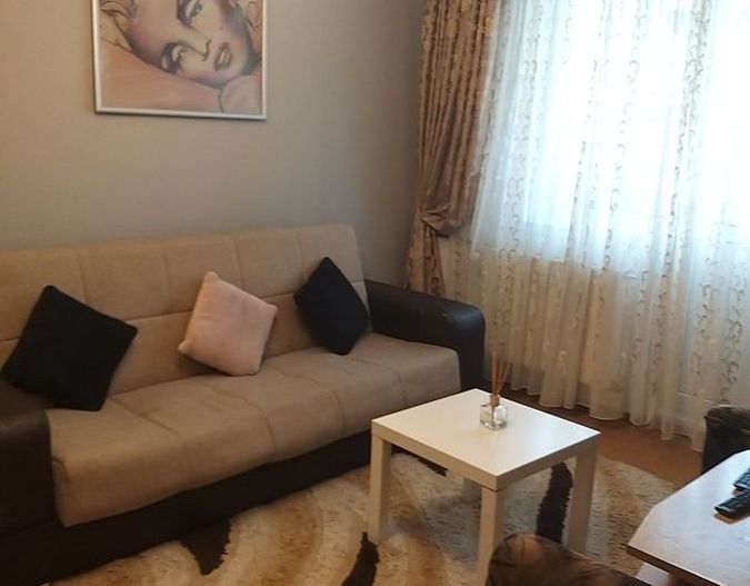 Aaprtament 2 camere Luica-Berceni - Poză 1