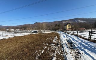 Teren intravilan 4521mp lângă pădure-valea Doftanei -Calea Brasovului - Poză 3