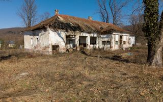 Conac nobiliar de secol XIX cu 8 camere în Maciova - Poză 19