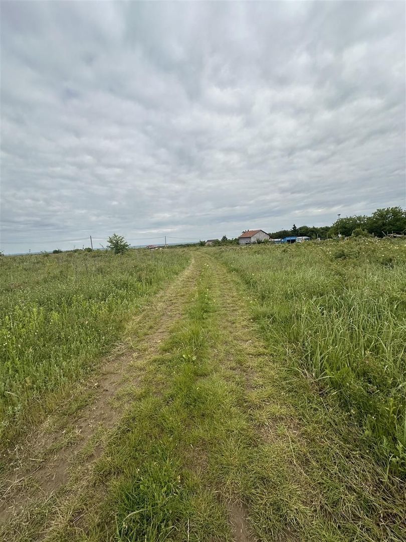 Teren intravilan Paleu la intrare - Poză 2