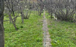 Casa individuala cu teren generos - Poză 13