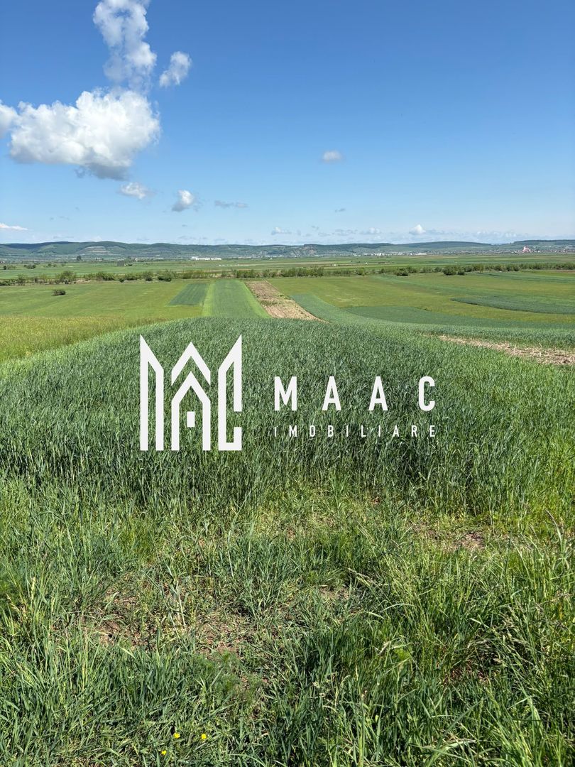 Teren extravilan 2393 mp | Gura Râului | acces, Carte Funciară - Poză 1