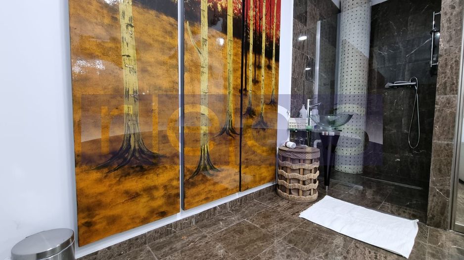 INCHIRIERE -2 VILE -ZONA MOGOSOAIA - Poză 49