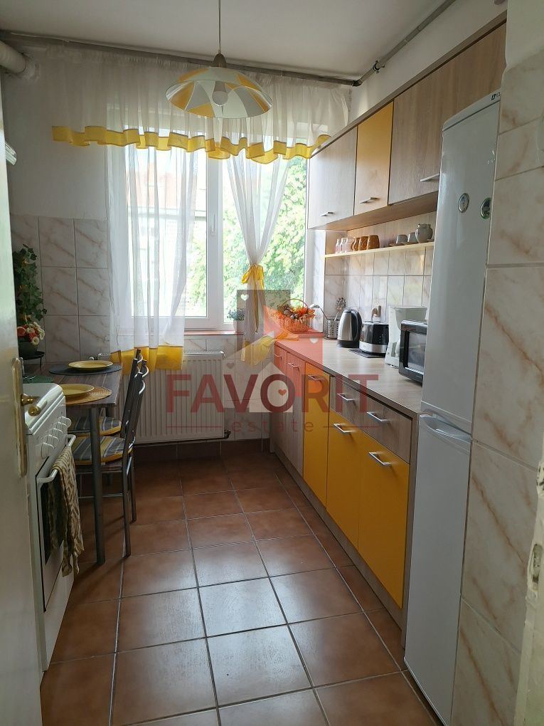 2 camere-zona Centrala, Medicina, Isho - Poză 2