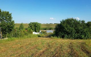 Teren intravilan – Adunatii Copaceni | 3.399 mp | Ideal investitie - Poză 4