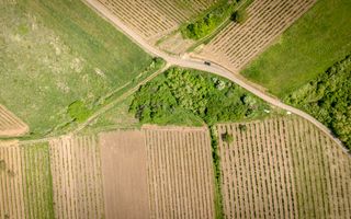 Teren extravilan - 3654 mp Dealul Șiriei - Poză 4