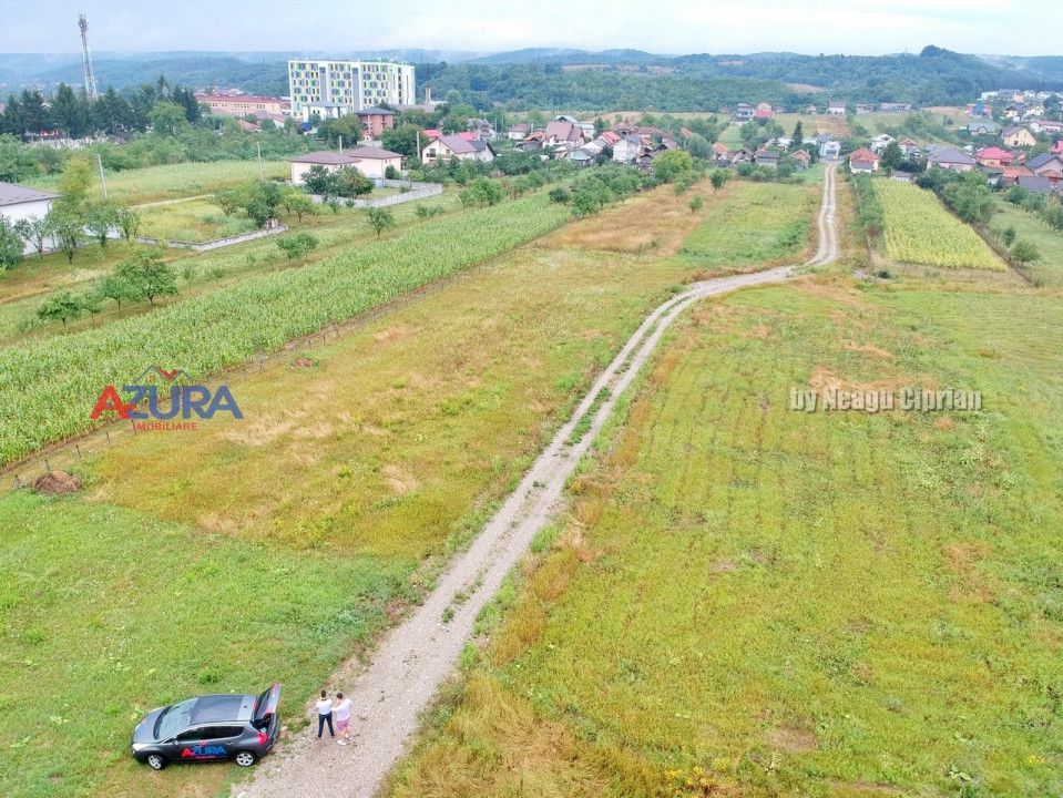 Vanzare Teren Racovita Intravilan - Poză 4