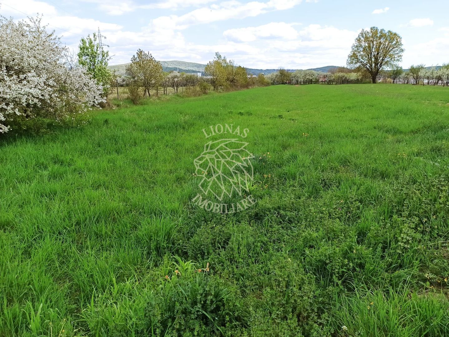 Teren intravilan 2515 mp cu utilitati- Zona Valea Castailor - Poză 1