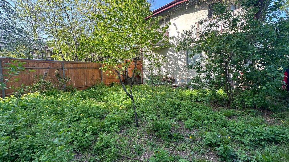 Proprietate Speciala | 2 Vile P+1 | Teren 806 MP - Poză 3