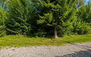 TEREN INTRAVILAN 744 MP | VALEA AVRIGULUI | IDEAL PENTRU CABANĂ - Poză 15
