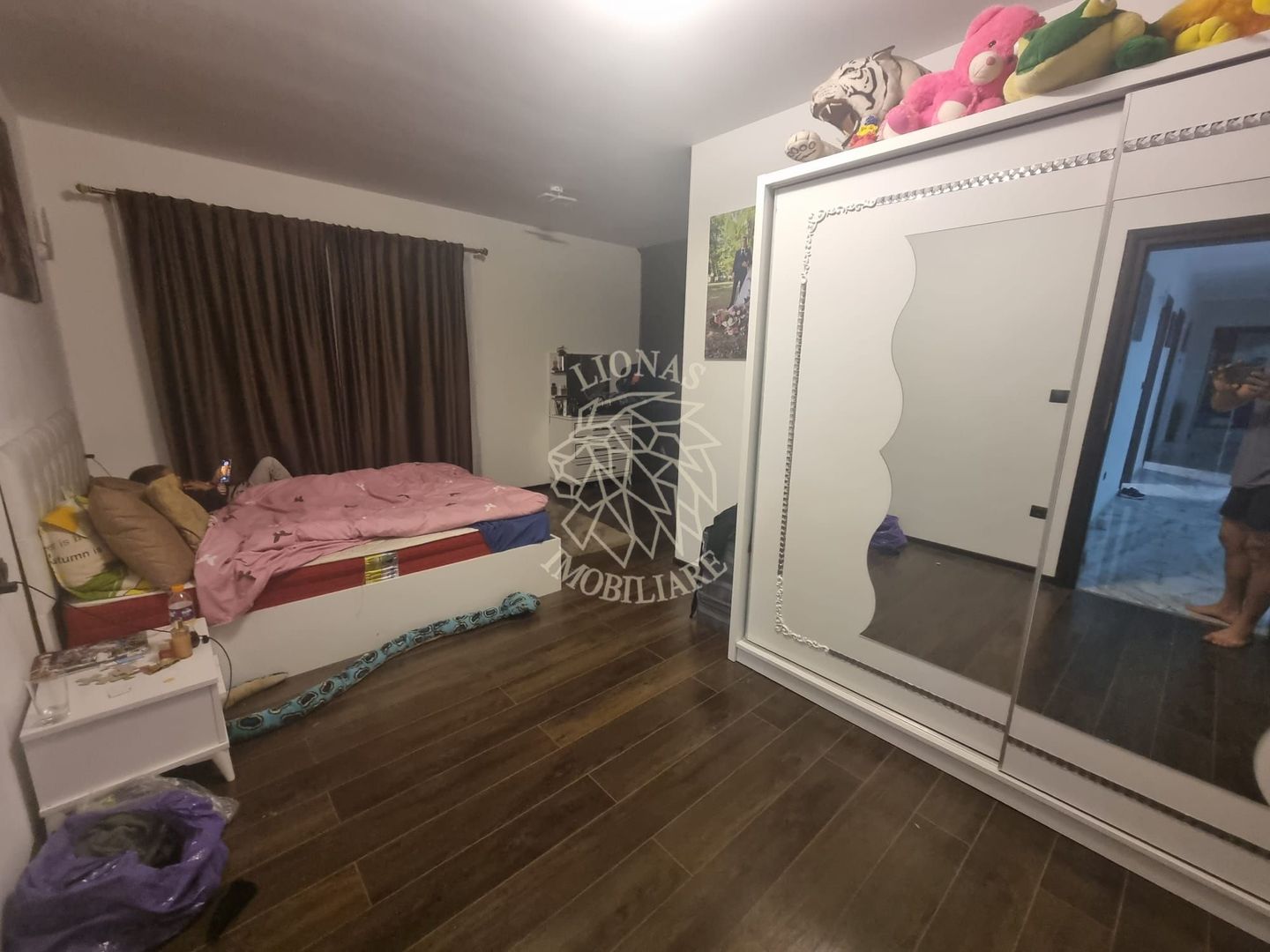 Casa de Lux 6 camere-480mp-teren 1100mp-service tinichigerie-Arcalia - Poză 2