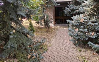 VILĂ IMPRESIONANTĂ CU PARC PRIVAT | 400 mp Construiți | 2.800 mp Teren - Poză 9